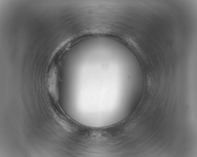 X0000078270684200611172031