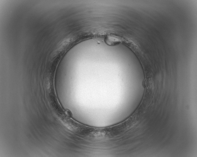 X0000078270687200611172031
