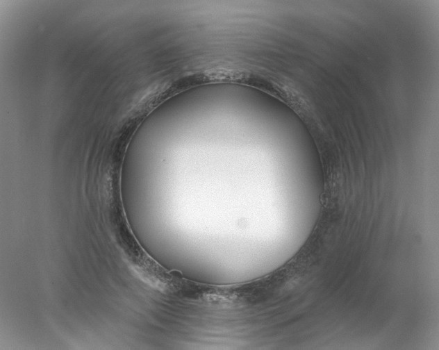 X0000078270690200611172031