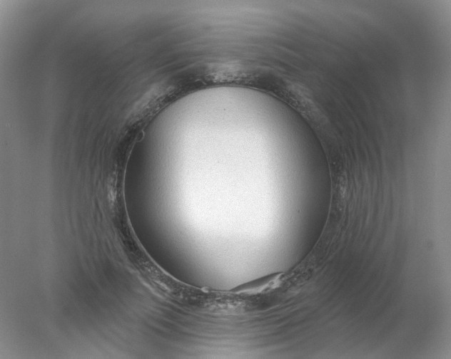X0000078270691200611172031