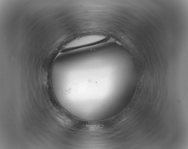 X0000078270693200611172031