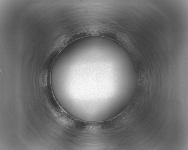 X0000078270694200611172031