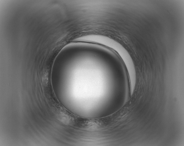 X0000078270697200611172031