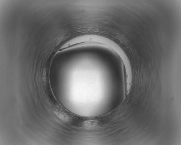 X0000078270700200611172031