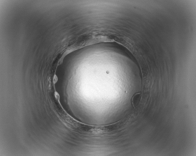 X0000078270703200611172031