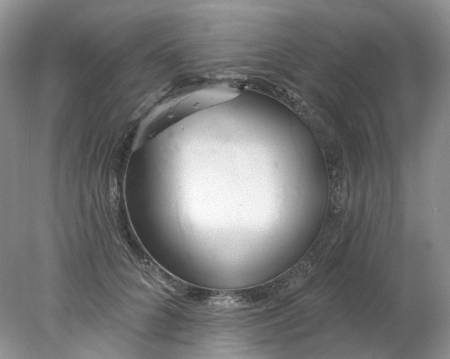 X0000078270704200611172031