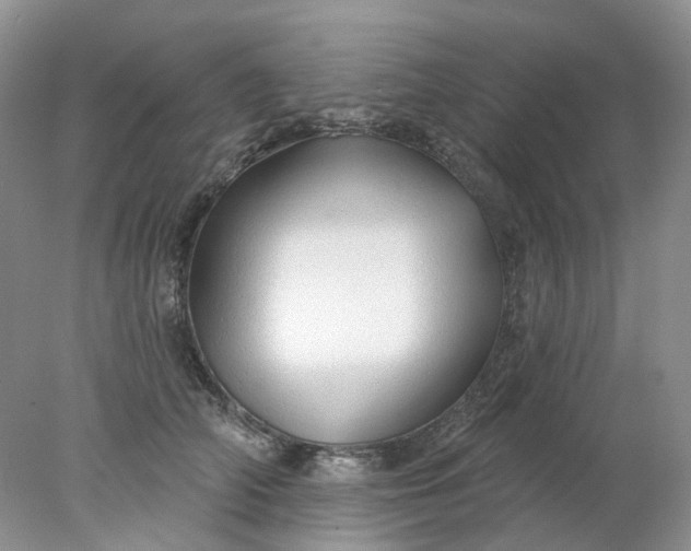 X0000078270706200611172031
