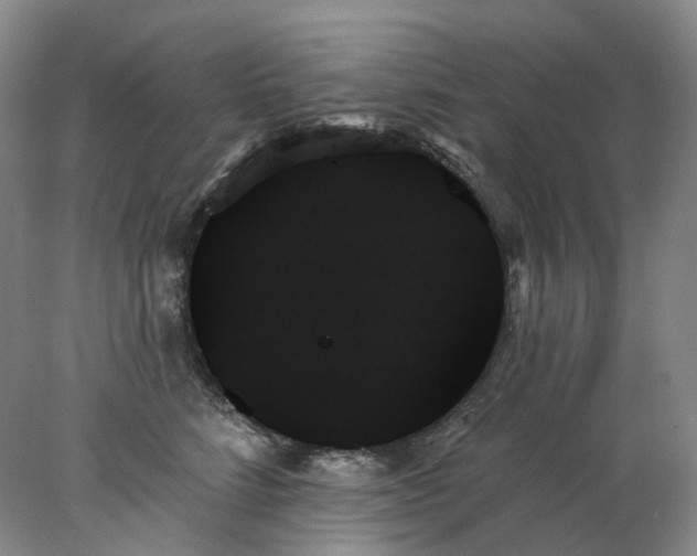 X0000078270712200611172031