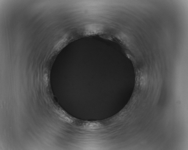 X0000078270716200611172030