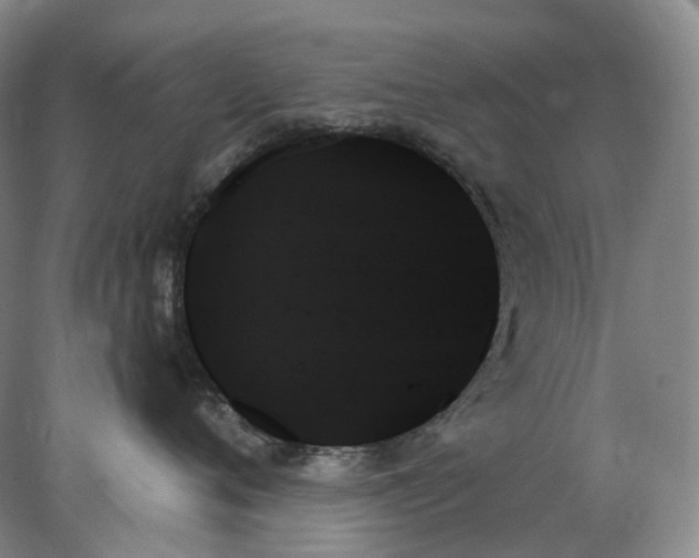 X0000078270720200611172030