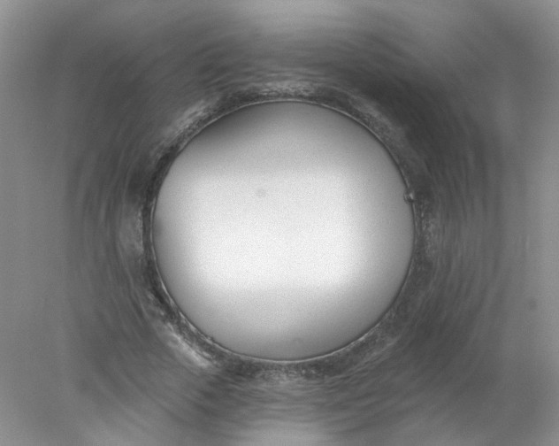 X0000078270729200611172030