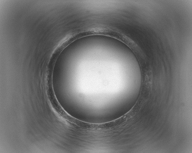 X0000078270730200611172030