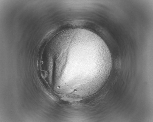 X0000078270733200611172030