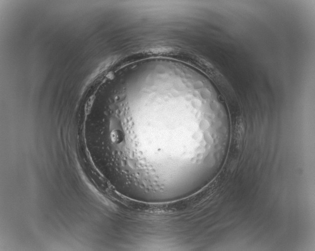 X0000078270734200611172030