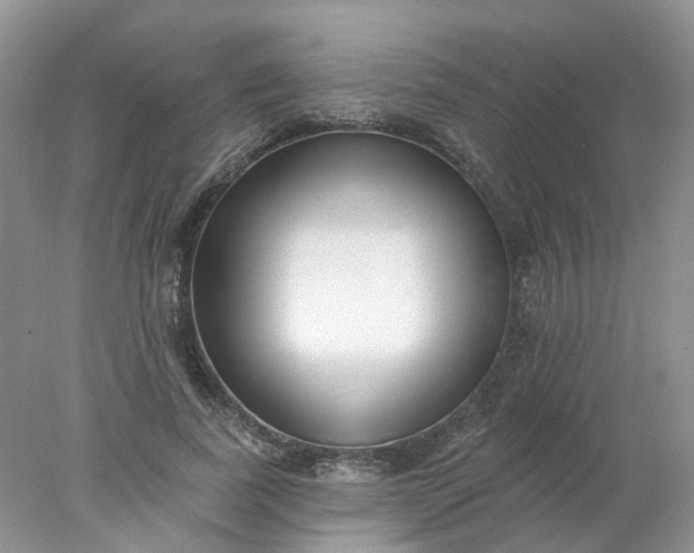 X0000078270739200611172030
