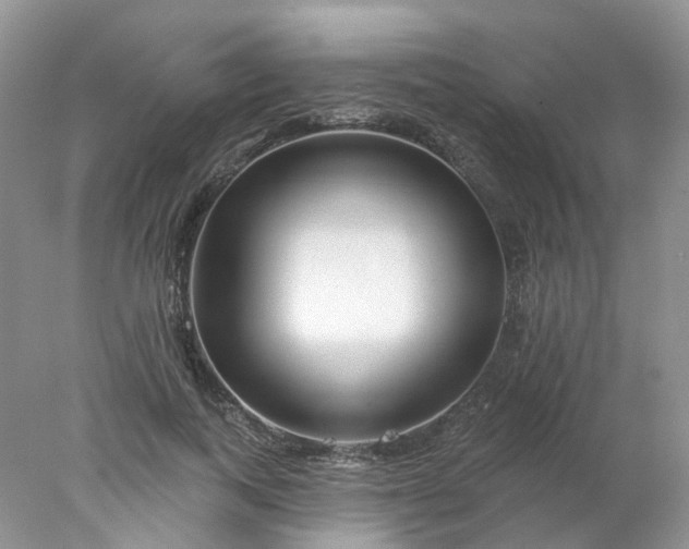 X0000078270743200611172030