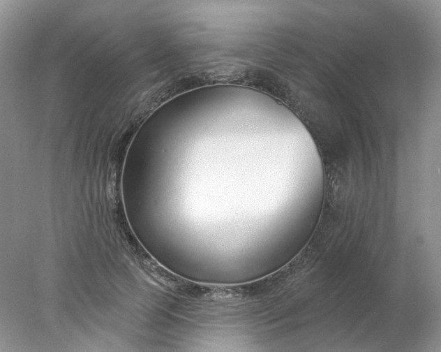 X0000078270745200611172030