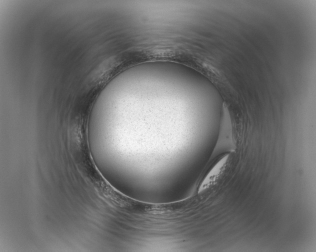 X0000078270746200611172030
