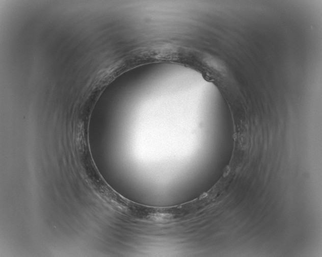 X0000078270748200611172030