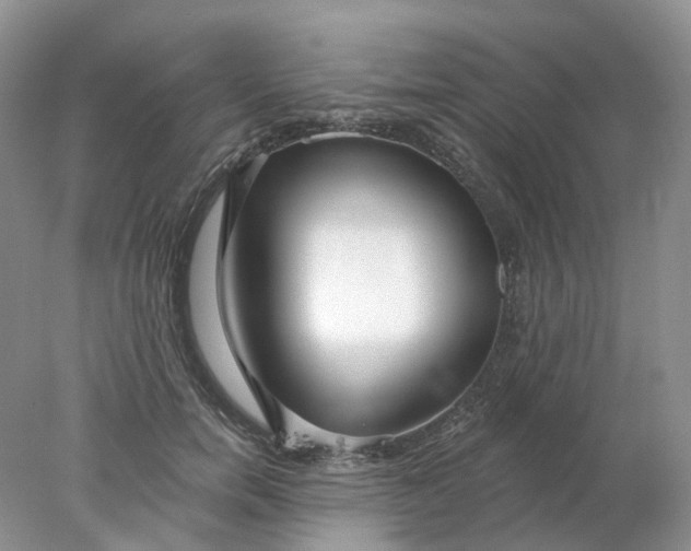X0000078270750200611172030