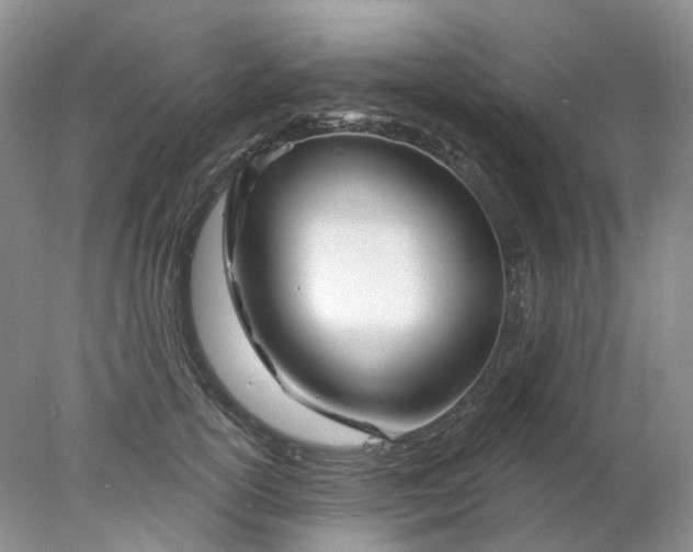 X0000078270754200611172030
