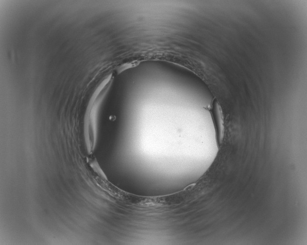 X0000078270756200611172030