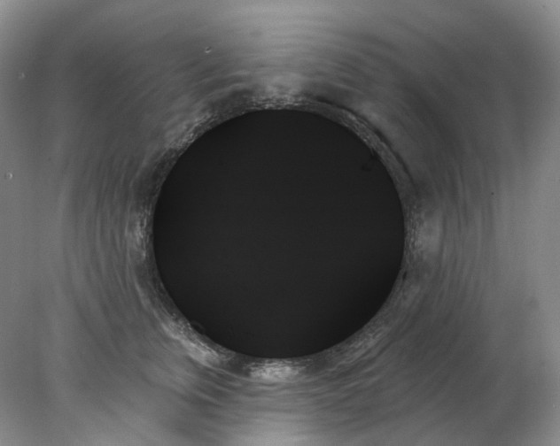 X0000078270759200611172030