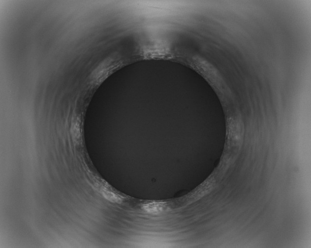 X0000078270761200611172030