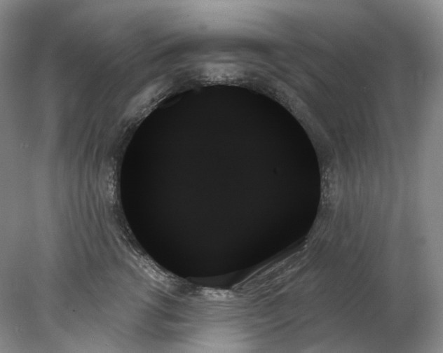 X0000078270762200611172030