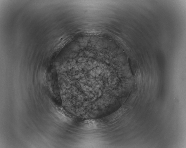 X0000078270764200611172030