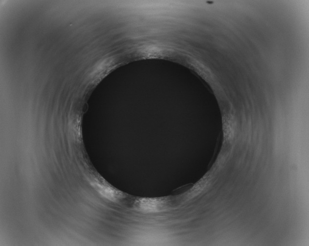 X0000078270766200611172030