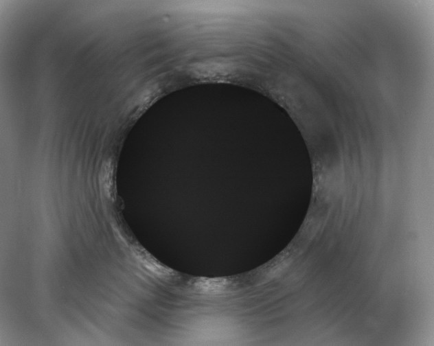 X0000078270767200611172030