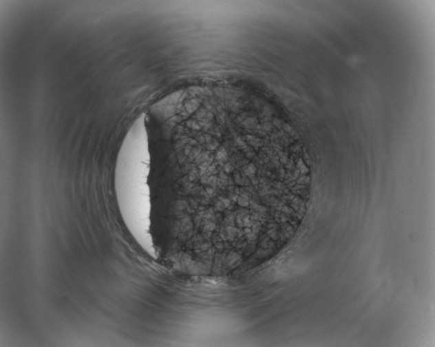 X0000078270768200611172030