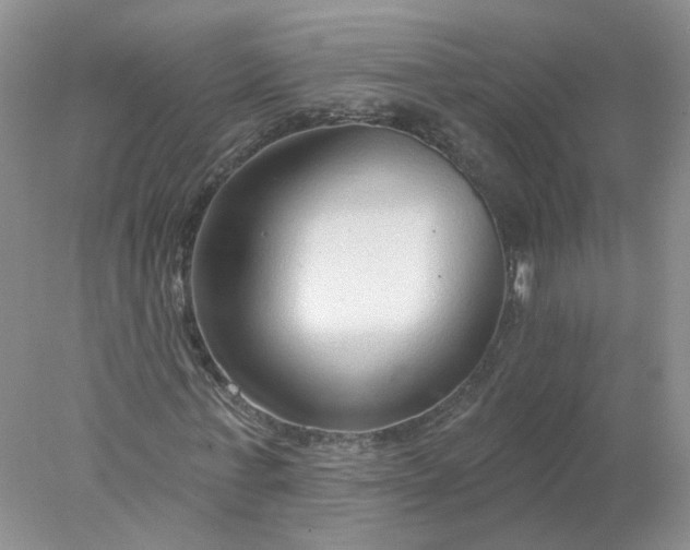 X0000078270771200611172030