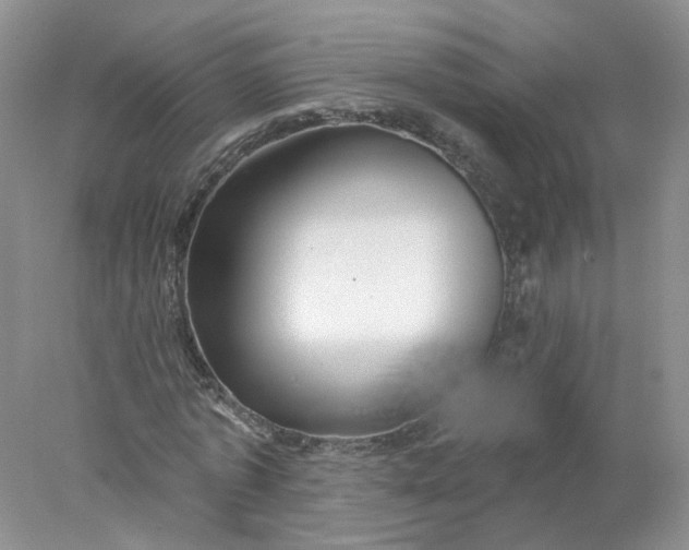 X0000078270773200611172030