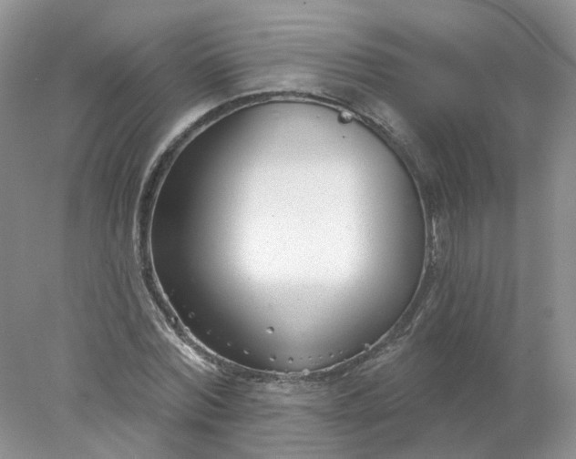 X0000078270780200611172029