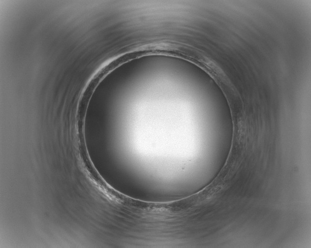 X0000078270784200611172029