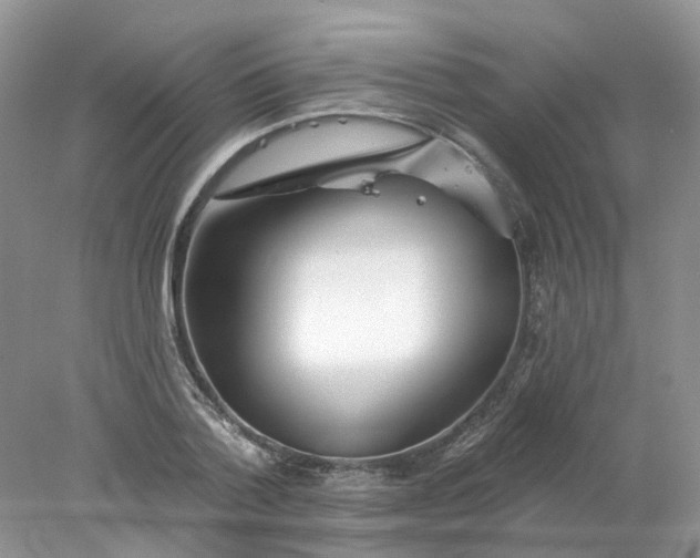 X0000078270788200611172029
