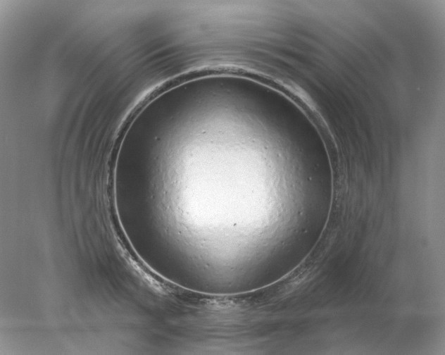 X0000078270799200611172029