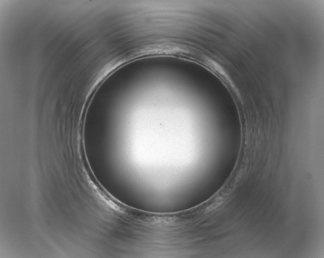 X0000078270802200611172029