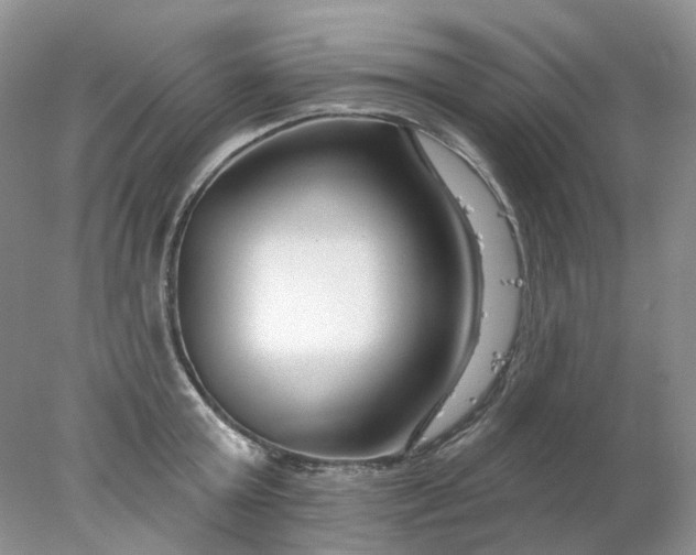 X0000078270803200611172029
