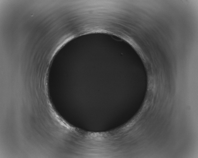 X0000078270806200611172029