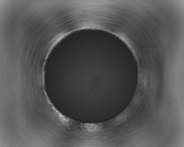 X0000078270807200611172029