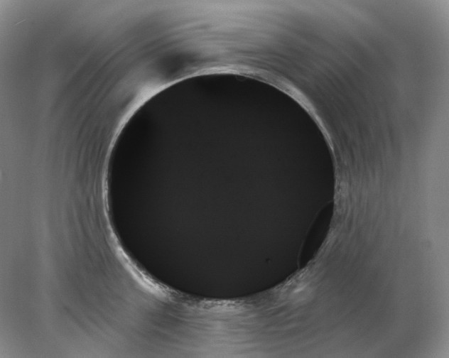 X0000078270811200611172029