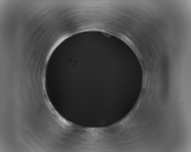 X0000078270812200611172029