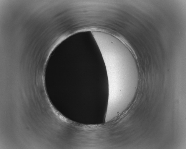 X0000078270813200611172029