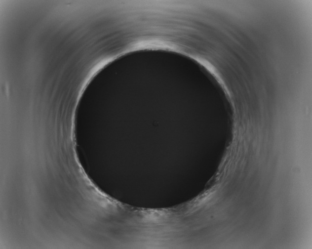 X0000078270815200611172029