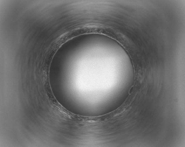 X0000078270821200611172028