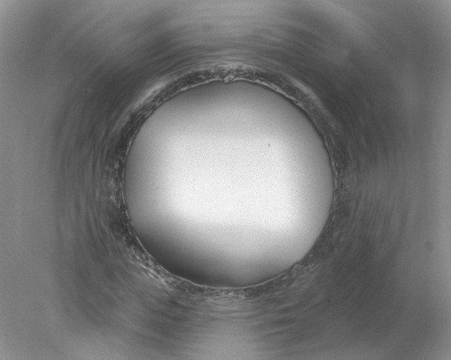 X0000078270823200611172028
