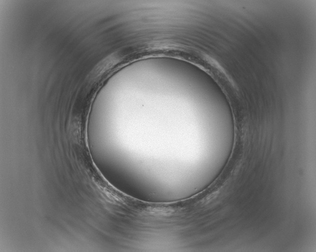 X0000078270825200611172028